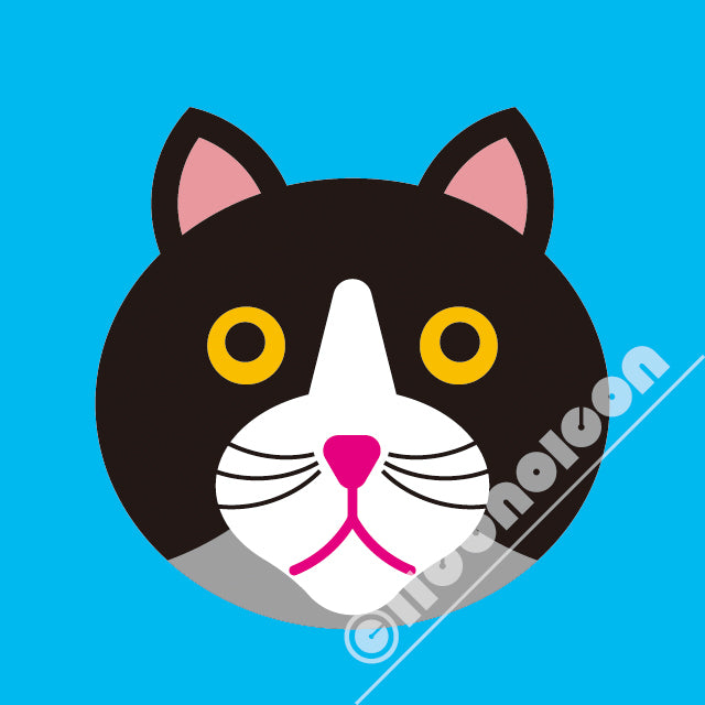 CAT-ICON-03